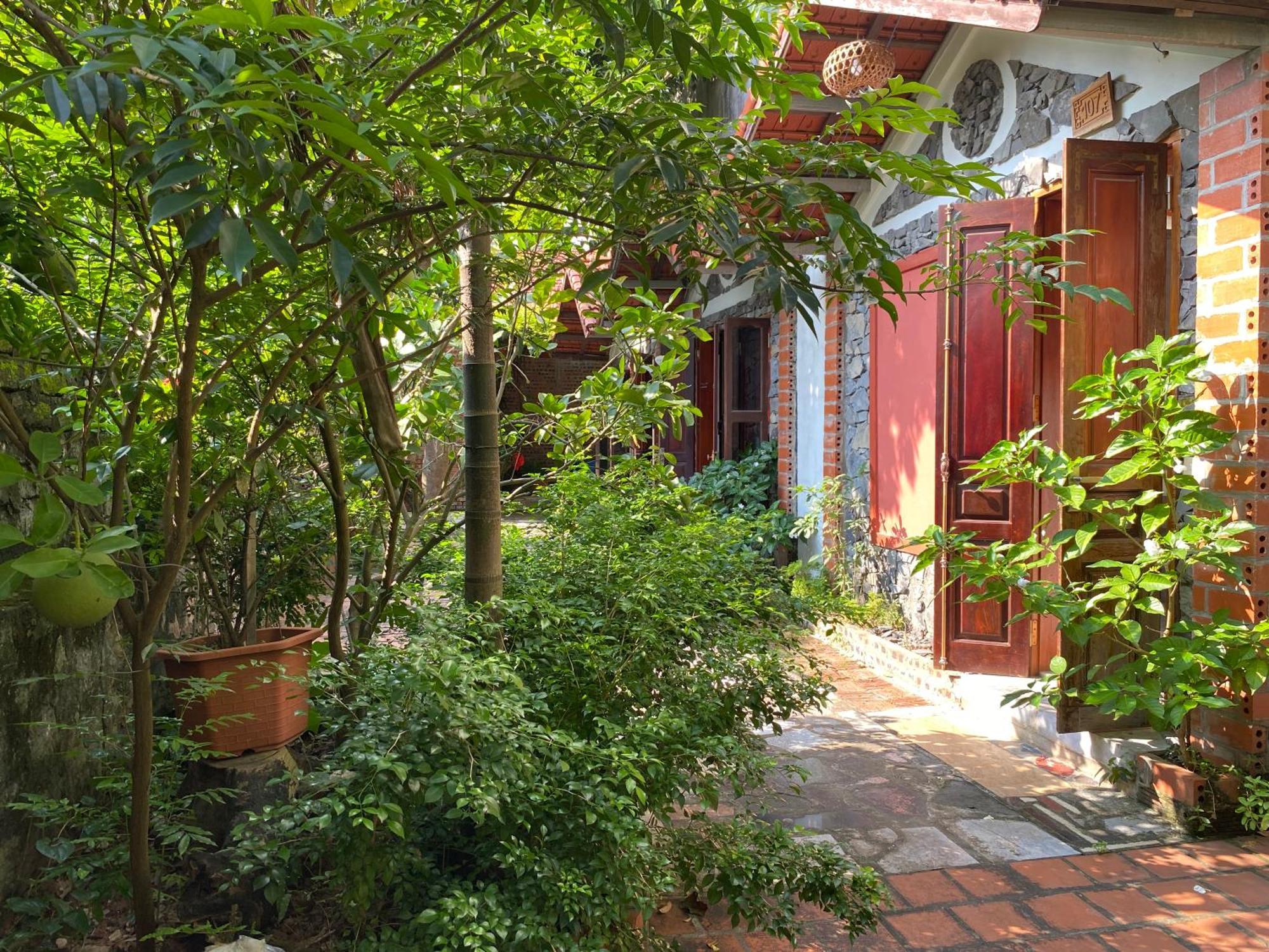 Tam Coc Ngo Dong Homestay Ninh Binh Esterno foto